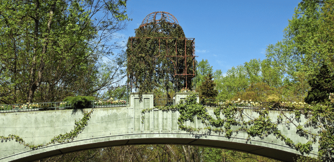 bridge over atlanta botanical garden