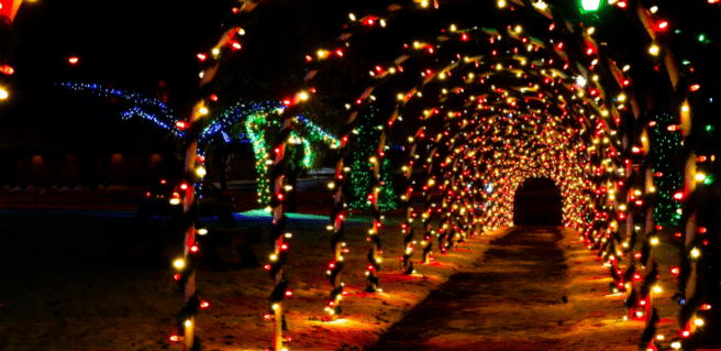 Garden Lights, Holiday Lights at Atlanta Botanical Garden