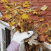 cleaning leaves out of the gutter as part of fall home maintenance