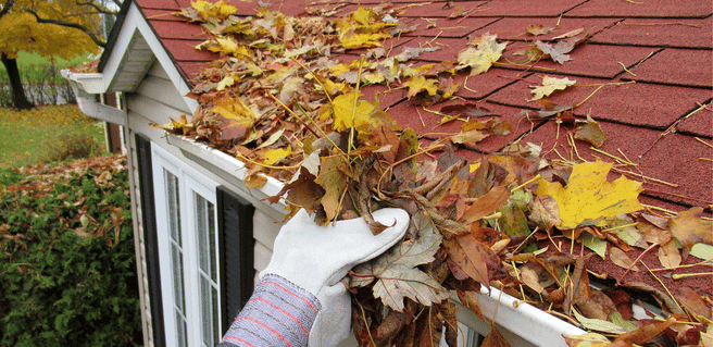 cleaning leaves out of the gutter as part of fall home maintenance