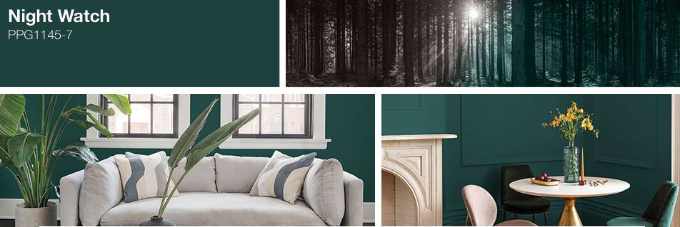 Night Watch, PPG's 2019 Color of the Year