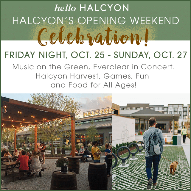 Don’t Miss Hello Halcyon Retail Opening This Weekend