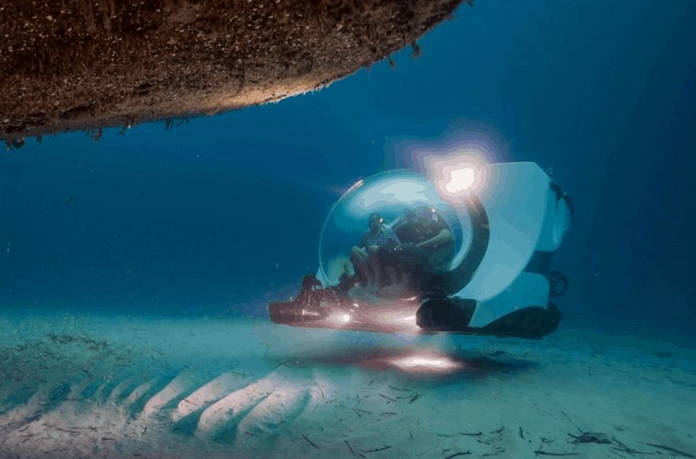 Larga Vida Submarine
