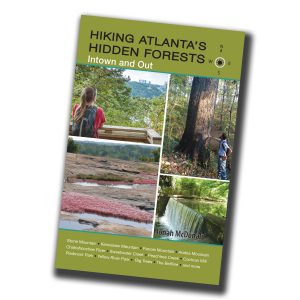 hiddenforests_cover2