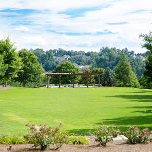 Photo of green space at Sterling on the Lake to promote lakeside living and resort-style amenities.