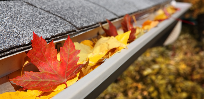 A home gutter filled with orange, yellow and red colored leaves