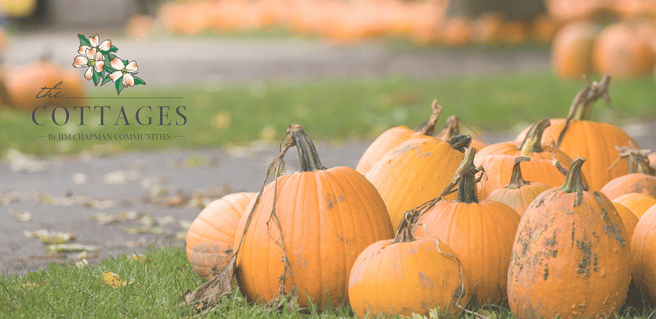 Ranch Cottages for Rent Shares Its List of Fall Events in Athens and Hampton
