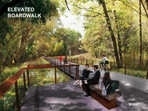 Boardwalk