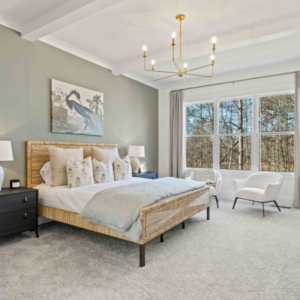 design trends owners bedroom with tray ceilings, large windows and a green accent wall