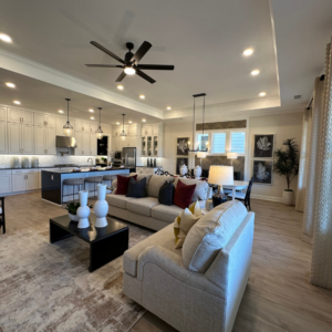 Cresswind Georgia model home interior